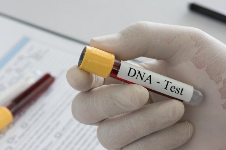 Campanha Meu Pai Tem Nome oferece exames de DNA gratuitos em 13 cidades do Piauí​‌​