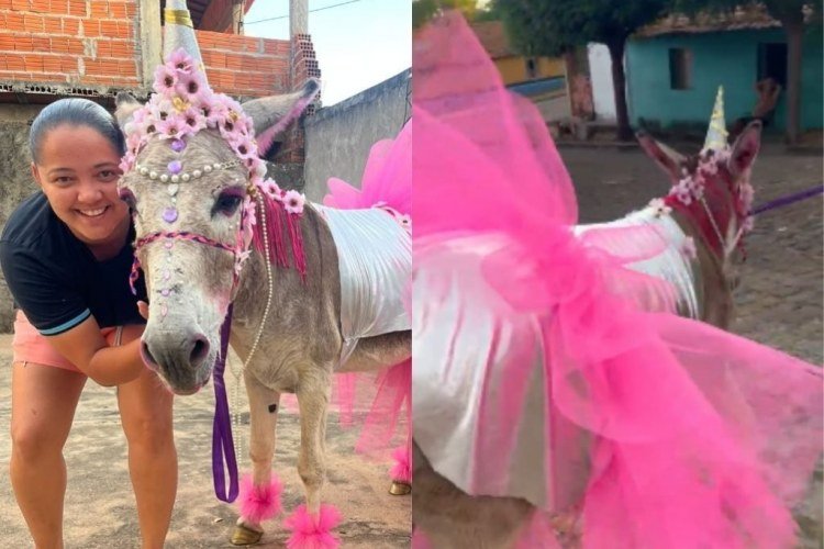 Jumento vestido de unicórnio é o grande vencedor em Pimenteiras​‌​