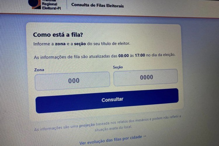 Eleitores podem consultar filas nas seções eleitorais em 2026​‌​