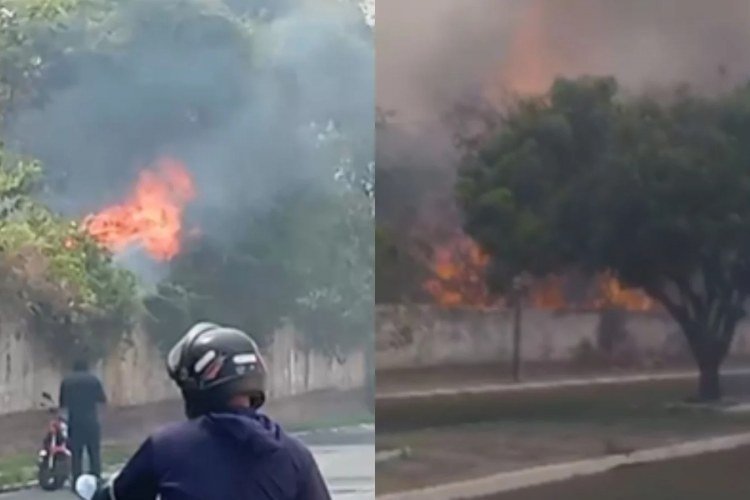 Teresina enfrenta calor extremo e incêndios na zona Norte; Parque do Mocambinho é afetado​‌​