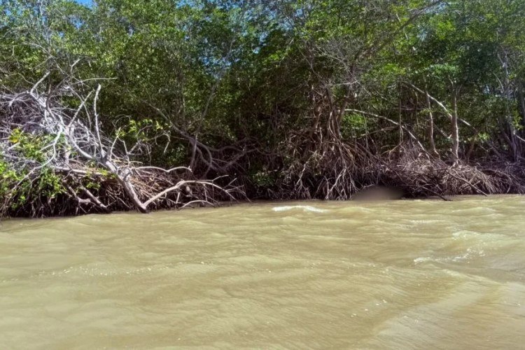 Corpo de homem é encontrado no Rio Igaraçu, em Parnaíba​‌​