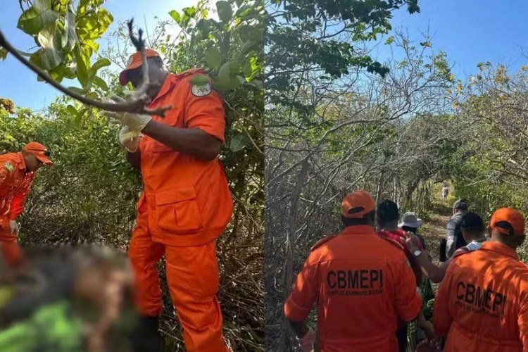 Homem desaparecido há dois dias é resgatado por bombeiros em Luís Correia​‌​