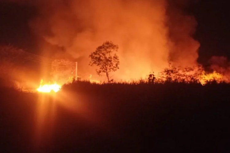 Embrapa contabiliza prejuízo superior a R$ 1 milhão após incêndio e inicia recuperação​‌​