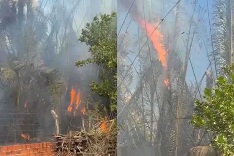 Incêndio ameaça residências e causa apreensão em comunidade rural de Teresina​‌​