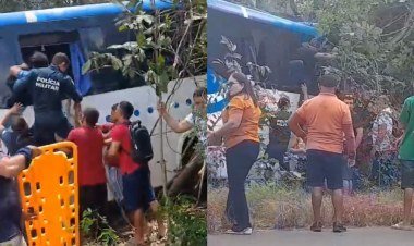 Motorista de ônibus desvia de caminhão e sai da pista na BR-343​‌​
