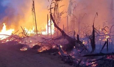 Cuidados com a saúde durante o período seco e queimadas​‌​