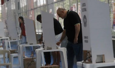 Eleições 2026: como consultar seu local de votação​‌​