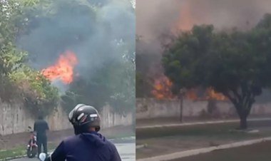 Teresina enfrenta calor extremo e incêndios na zona Norte; Parque do Mocambinho é afetado​‌​