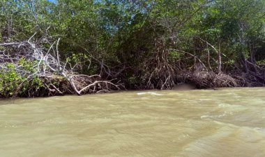 Corpo de homem é encontrado no Rio Igaraçu, em Parnaíba​‌​