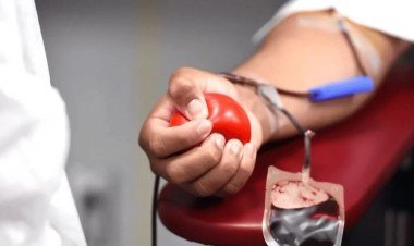 Novos critérios de doação de sangue são implementados no Piauí​‌​