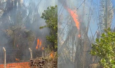 Incêndio ameaça residências e causa apreensão em comunidade rural de Teresina​‌​