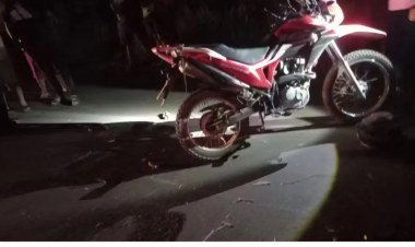 Motociclista morre após colisão com árvore em Altos durante tempestade​‌​