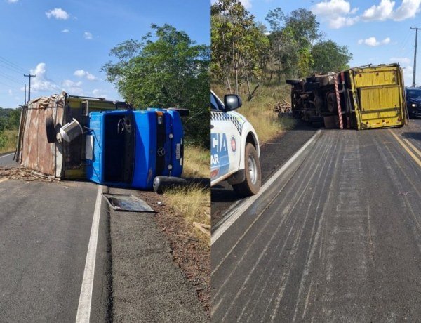 Caminhão tomba com carga de bois na Pi-110 após motorista perder controle​‌​