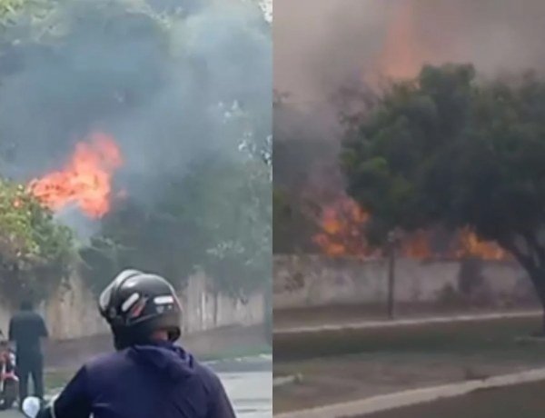 Teresina enfrenta calor extremo e incêndios na zona Norte; Parque do Mocambinho é afetado​‌​