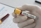 Campanha Meu Pai Tem Nome oferece exames de DNA gratuitos em 13 cidades do Piauí​‌​