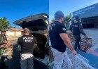 Operação Asas Livres apreende 12 aves silvestres em Parnaíba​‌​