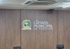 Câmara de Teresina retoma atividades após recesso de duas semanas​‌​