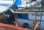 Pescador de 63 anos morre após queda de embarcação no litoral do Piauí​‌​
