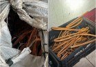 Polícia realiza operação contra comércio ilegal de cobre furtado em Teresina​‌​