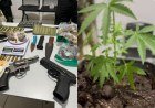 Quatro detidos em operação contra tráfico de drogas no Piauí e Maranhão​‌​