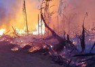 Cuidados com a saúde durante o período seco e queimadas​‌​