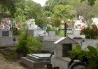 Câmara de Teresina discute falta de vagas em cemitérios e caixões gratuitos​‌​