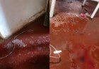 Mulher morre após choque elétrico em Monte Alegre do Piauí​‌​