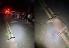 Motociclista morre após colisão com porco em rodovia no Piauí​‌​