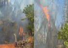 Incêndio ameaça residências e causa apreensão em comunidade rural de Teresina​‌​